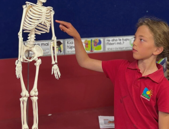 Child looking at skeleton Edited